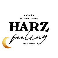 Star Moon Sticker by Harzfeeling