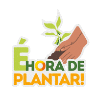 Agrosol Sticker by Agro-Sol Sementes