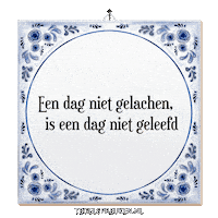 Humor Nl Sticker by Tegelspreuken.nl