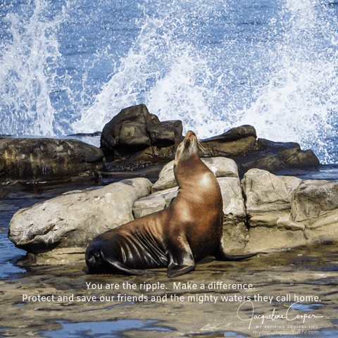 ocean california GIF