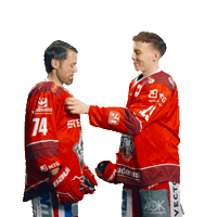 Goal Win Sticker by Eisbären Regensburg