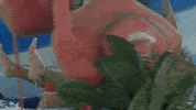 Happy Water GIF by Duinrell