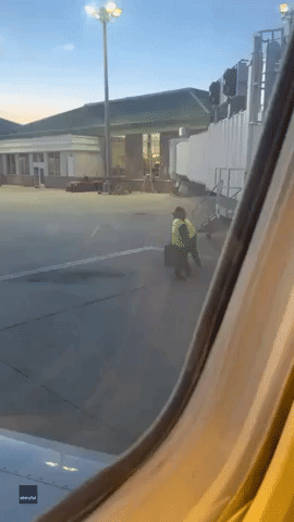 Wheeled Suitcase Flips Over as Baggage Handler Launches It Across Georgia Tarmac