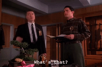season 2 GIF by Twin Peaks on Showtime
