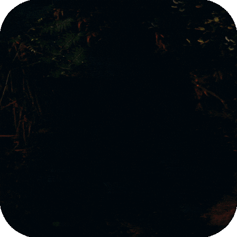 Earth Planet GIF by WWF Deutschland