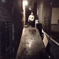 good vine evening GIF