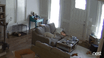 fail over it GIF by Nest