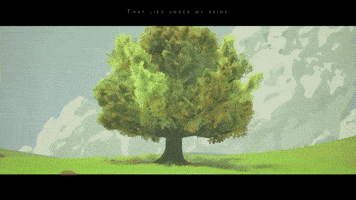 GIF by Wired Productions