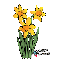 animation birthday Sticker by SWR Kindernetz