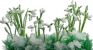 grass STICKER