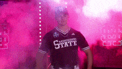 Baseball Hype GIF by NCAA Championships