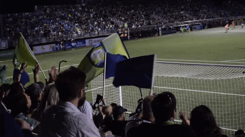 GVLTriumph giphyupload soccer usl flags GIF