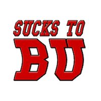 Sucks Boston College Sticker by The Boston Accent