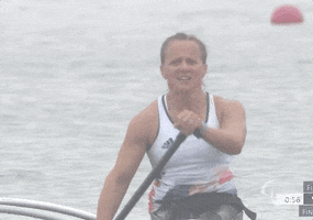 Paralympic Games Sport GIF by International Paralympic Committee