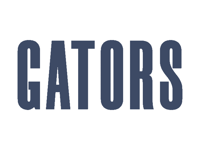 Class Of 2025 Sticker by Allegheny College