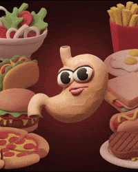 Hot Dog Lunch Time GIF