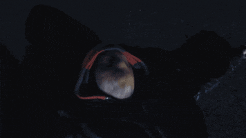 groovy tony schoolboy q GIF by Interscope Records