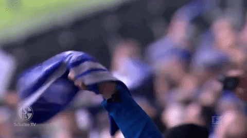 Football Soccer GIF by FC Schalke 04