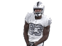 Las Vegas Raiders Football Sticker by NFL