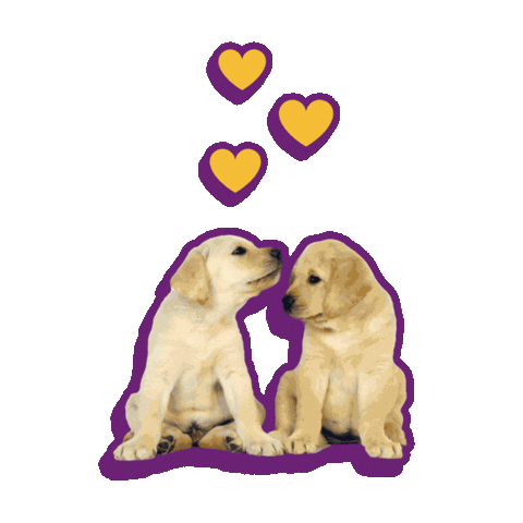 Dog Love Sticker by KNGF Geleidehonden