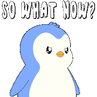 What Now Penguin Sticker by Pudgy Penguins