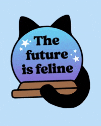 Black Cat GIF