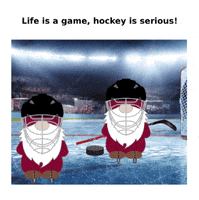 Sport Hockey GIF