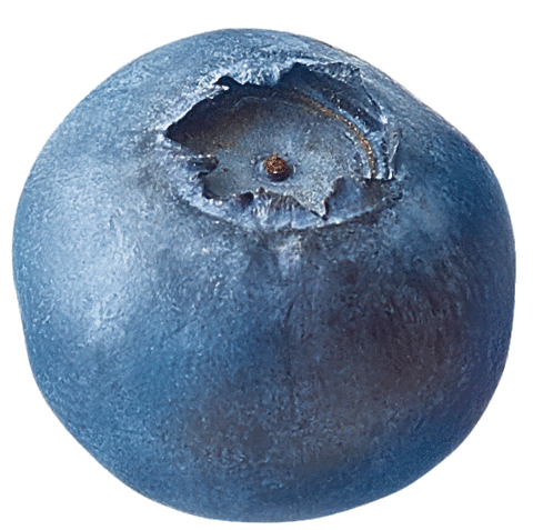 trufru giphyupload fruit blueberry trufru Sticker