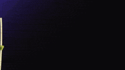 Animation Robin GIF by Benjy Brooke
