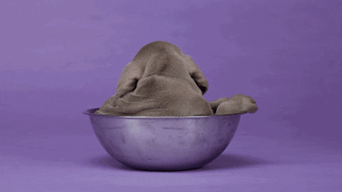 Safe For Work Spinning GIF