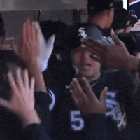 High Five White Sox GIF