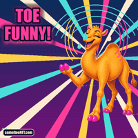 Happy Cracking Up GIF by CamelToe