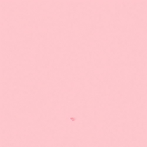 pink rose GIF by aurel