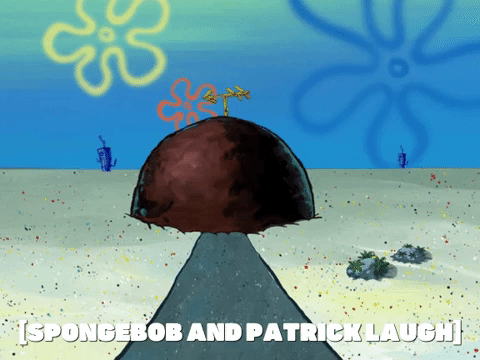 season 6 GIF by SpongeBob SquarePants
