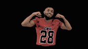 CWUAthletics football wildcats cwu cwuwildcats GIF