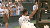 Novak Djokovic GIF by Wimbledon