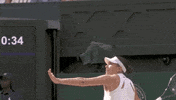Amanda Anisimova GIF by Wimbledon