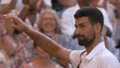 Novak Djokovic GIF by Wimbledon
