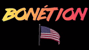 Bonetion GIF by rene bonet