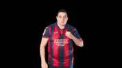 Escudo GIF by SD Eibar