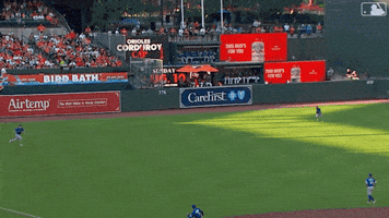Blue Jays Baseball GIF by Toronto Blue Jays