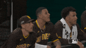 Celebrate Home Run GIF by San Diego Padres