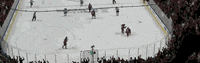nhl GIF by SB Nation