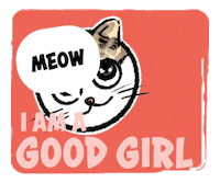 astory86 cat fatcat goodgirl catdrawing Sticker