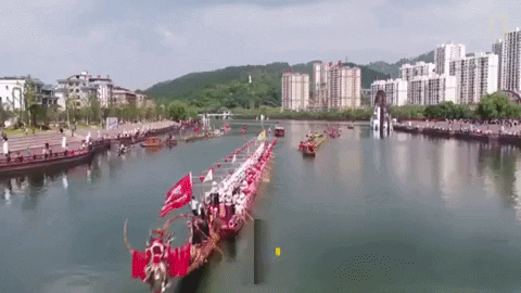 Dragon Boat Festival GIF