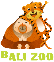 Happy Clap Sticker by Bali Zoo