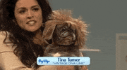 tina turner snl GIF by Saturday Night Live