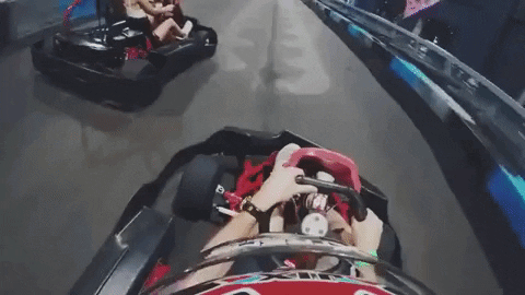 florida GIF