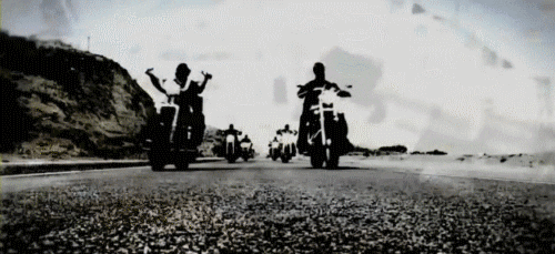 sons of anarchy GIF