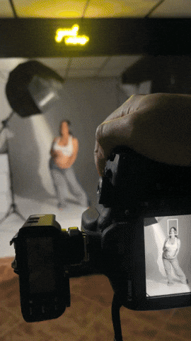 giphy.gif